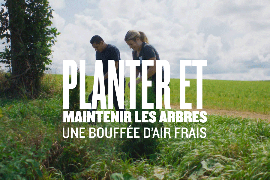 Planter et maintenir les arbres - Une bouffée d’air frais