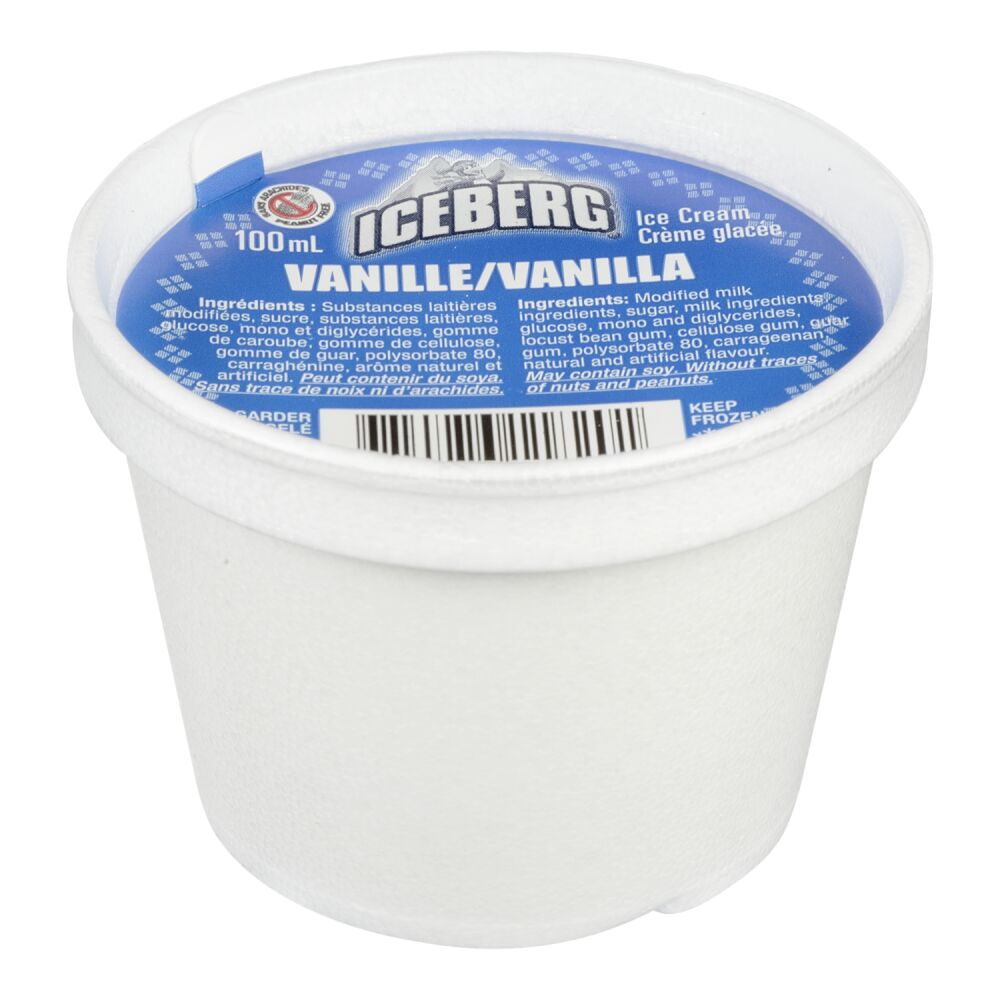 Iceberg Vanilla Ice Cream 24x100ml