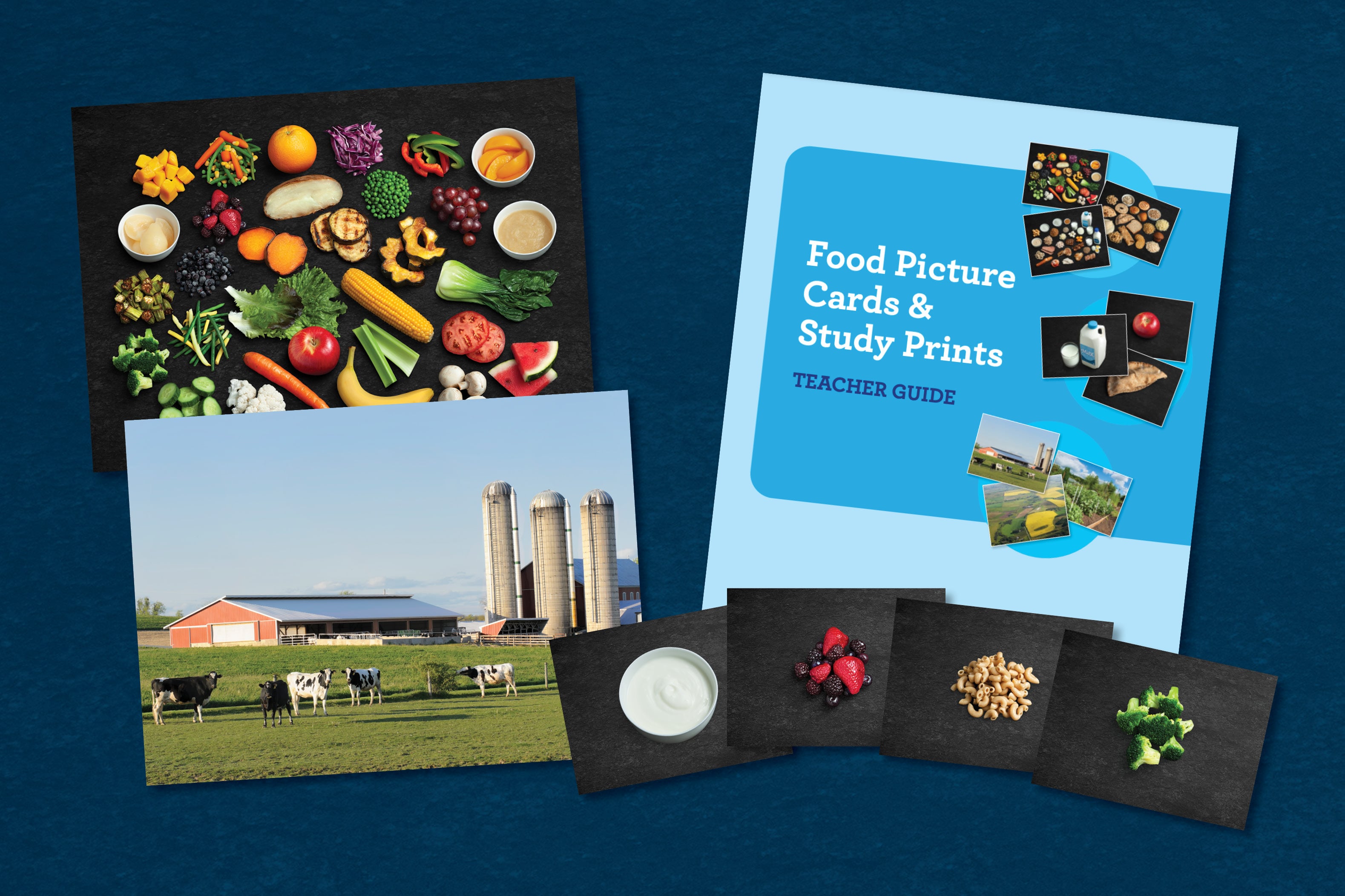 Food Picture Cards and Study Prints | Éducation Nutrition Saskatchewan