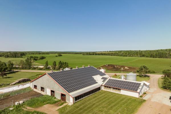 On-farm solar panels