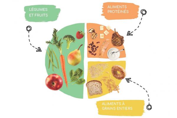 Assiette équilibrée du Guide alimentaire canadien : 3e cycle