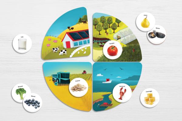 Jeu d’association sur les aliments. Il est fabriqué avec du plastique robuste et facile à nettoyer.