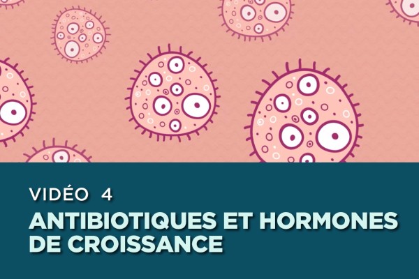 Illustrations des anticorps