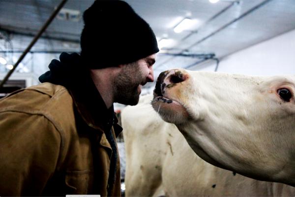Nos producteurs expliquent ce que le lait canadien et le logo de la vache bleue veulent dire pour eux.