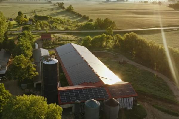 Une ferme laitière avec des panneaux solaires.