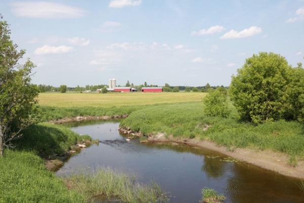 A stream near a Canadian farm