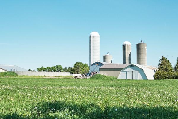 farm with barn in background