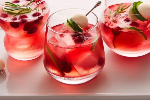 cranberry bocconcini gin tonic