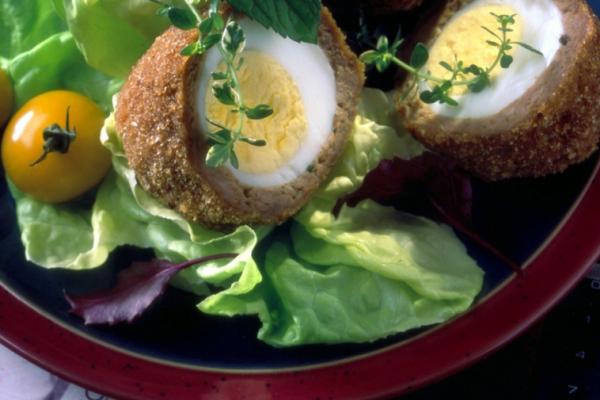 meat coated eggs with fennel and garlic sauce