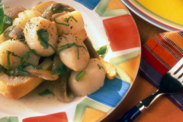 oyster mushroom scallops with herbs