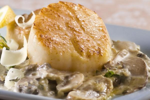 scallops with wild mushrooms and canadian whiskey cream