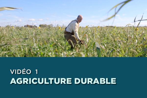 Une image d’un producteur dans un champ qui comporte la mention « Vidéo 1 Agriculture durable ».