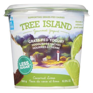 Tree Island Gourmet Yogurt Grass-Fed Coconut Lime Yogurt 6.5% M.F. 350g
