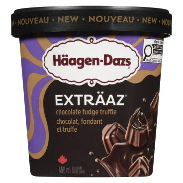 Häagen-Dazs Chocolate Fudge Truffle Ice Cream 450ml