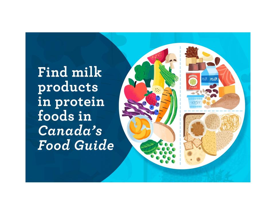 On the left is the statement: Find milk products in protein foods in Canada’s Food Guide. On the right is an illustration of a plate filled with a colourful variety of foods. The plate has dashed lines to divide it. Half of the plate contains vegetables and fruits, one quarter of the plate contains protein foods, and one quarter of the plate contains whole grain foods.