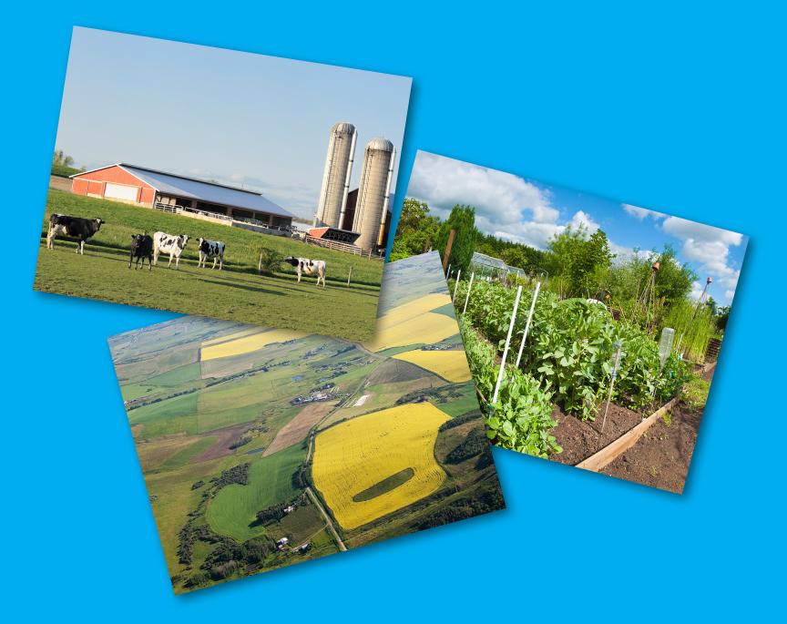 Image showing Food Origin Study prints with photos of a dairy farm, field, and garden.