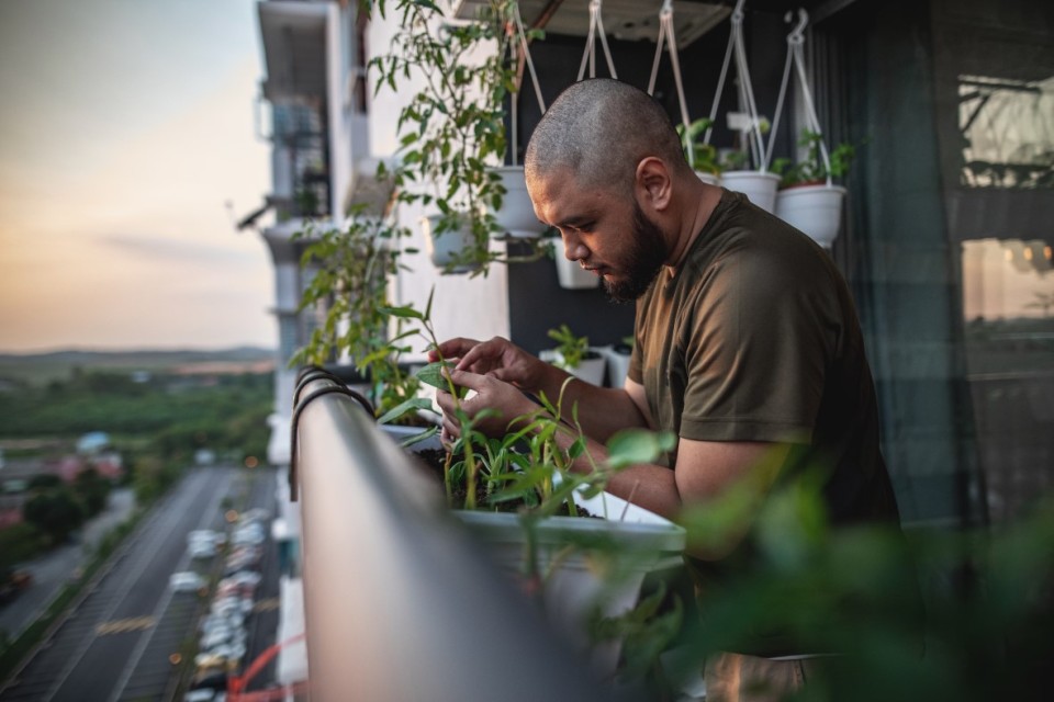 Gardening on a balcony