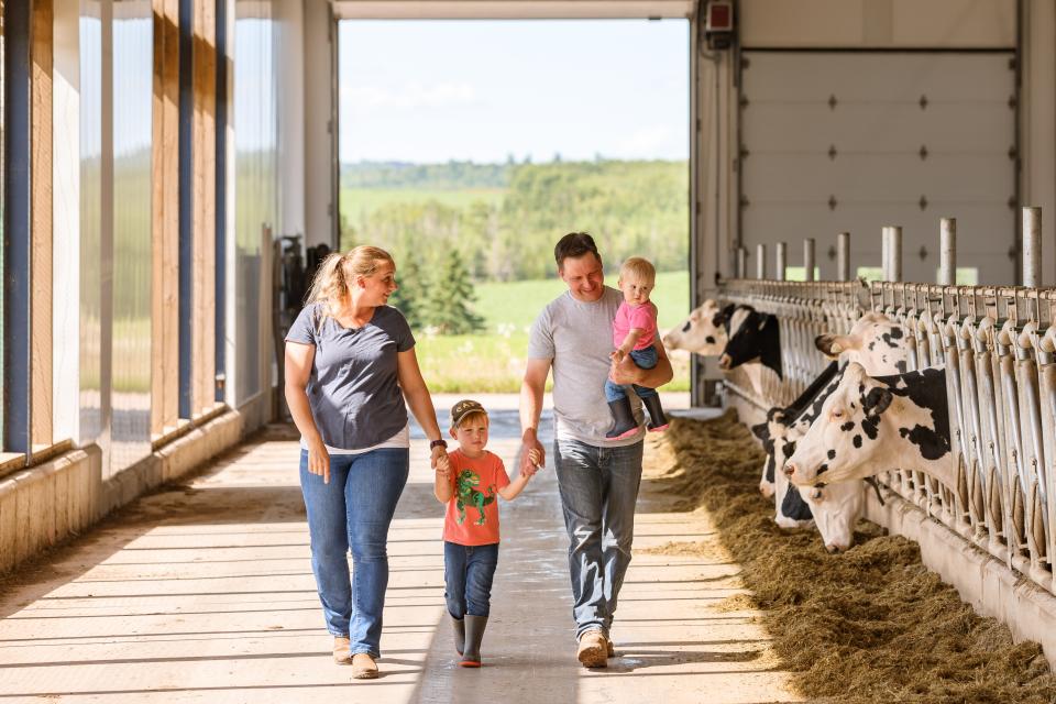 Une famille de producteurs laitiers se promène dans leur étable