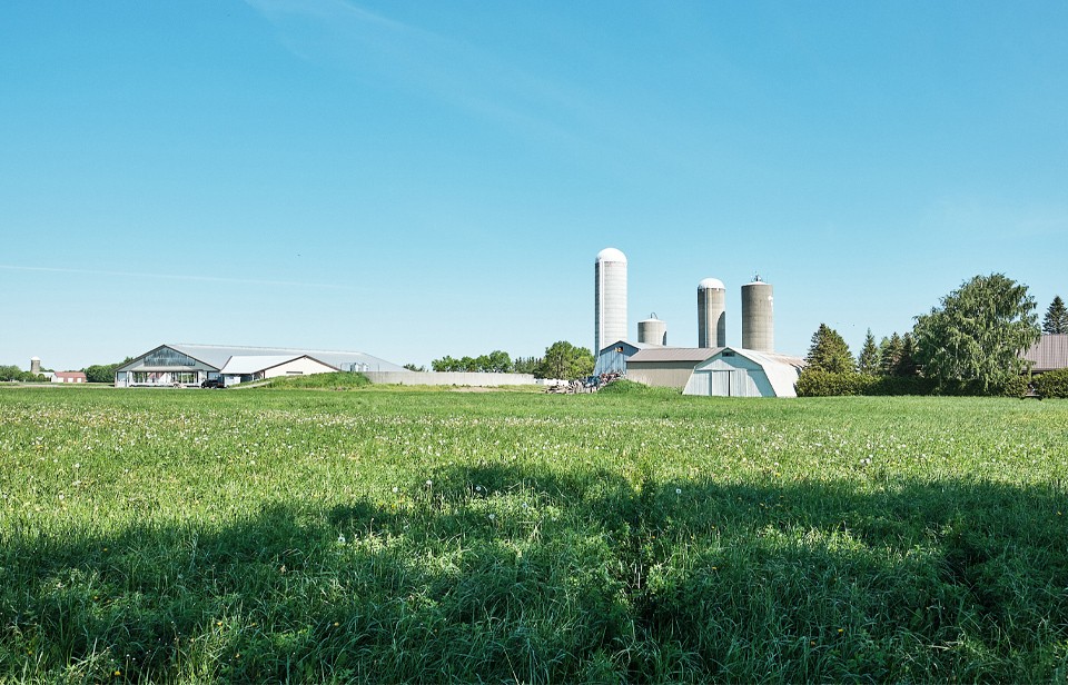 Ferme laitière vue d’un champ 