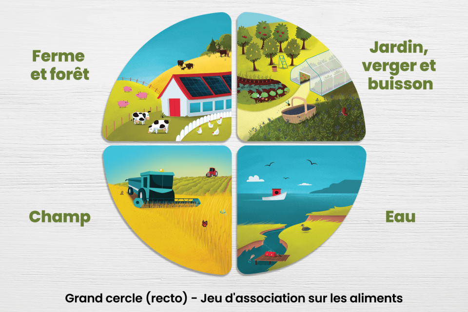 Recto du grand cercle. Jeu d'association sur les aliments.