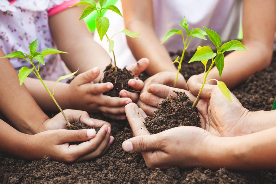 enfants qui tiennent une plante et de la terre dans leurs mains