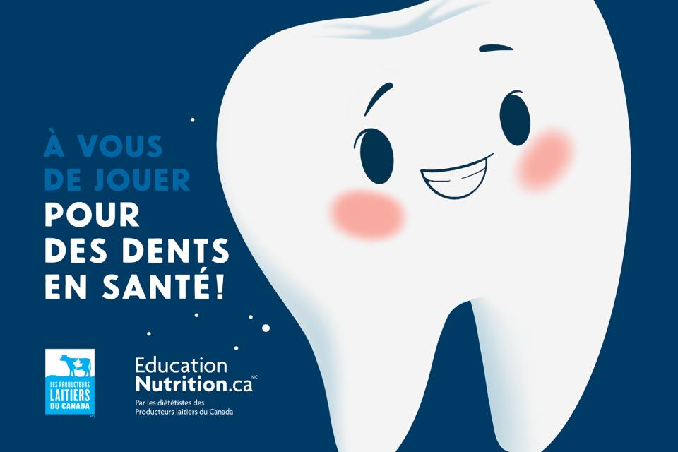 Couverture de la brochure À vous de jouer pour des dents en santé! Une brochure éducative, captivante et gratuite, qui vous aidera à établir une bonne routine d’hygiène dentaire avec votre enfant.