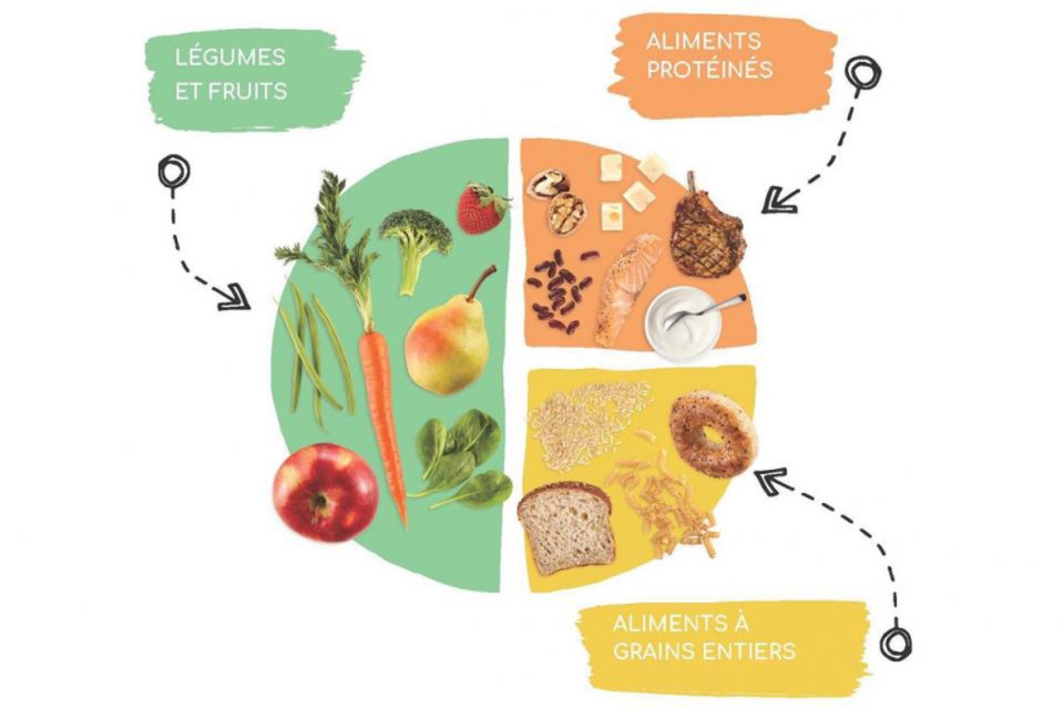 Assiette équilibrée du Guide alimentaire canadien