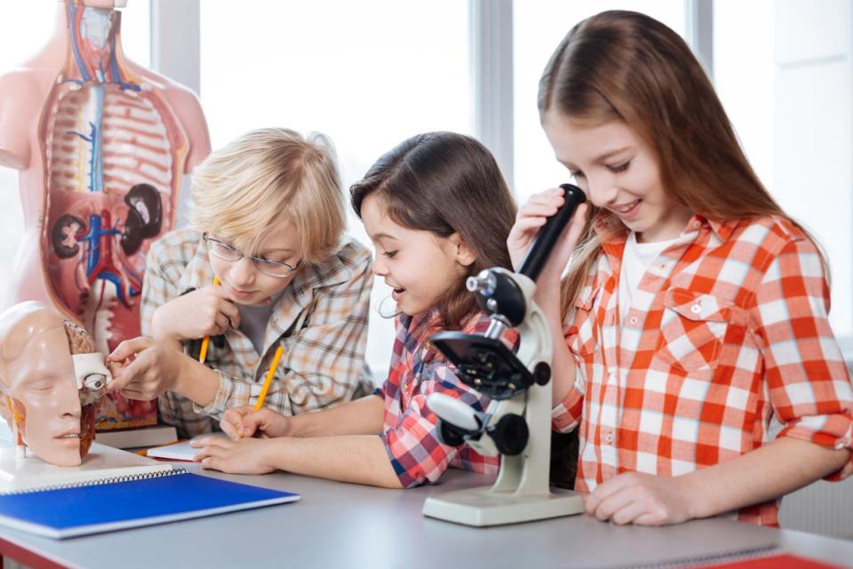 Élèves dans un cours de Science