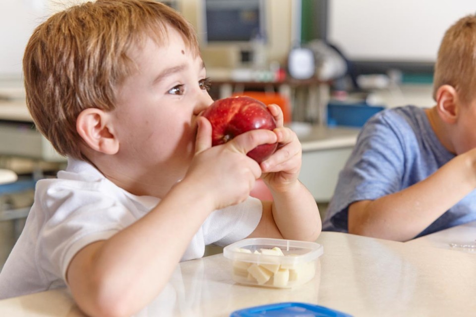 Des Idees De Collations Nutritives Education Nutrition Quebec Des Idees De Collations Nutritives Education Nutrition Quebec