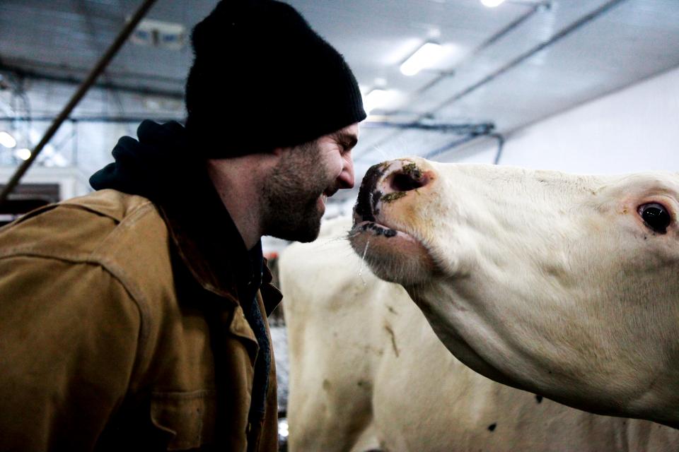 Dairy farmer Richard smiles nose to nose with a cow FR