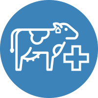 Animal Health, Biosecurity and Antimicrobial Stewardship