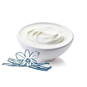 balkan yogurt image FR