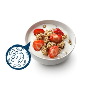 probiotic yogurt image FR