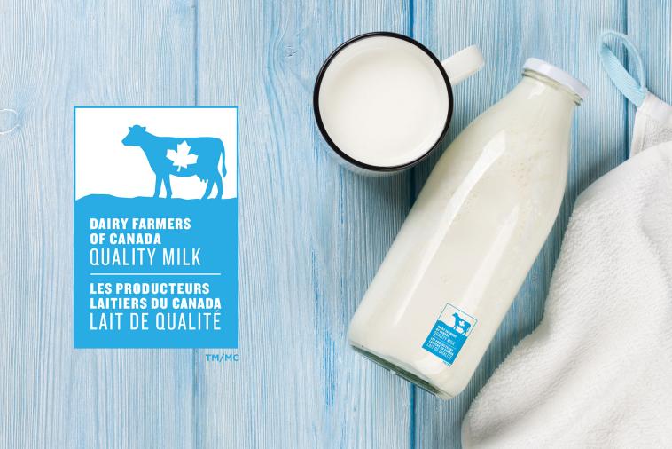 Recherchez le logo de la vache bleue