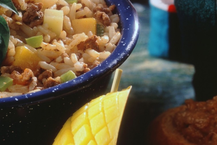 Salade De Riz Au Boeuf Et A La Salsa Plaisirs Laitiers