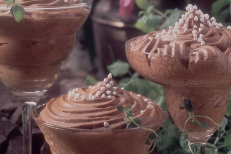 Mousse A La Menthe Et Au Chocolat Plaisirs Laitiers