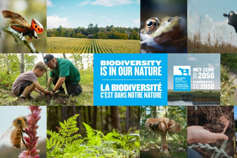 Biodiversité