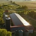 Dairy barn with solar panels