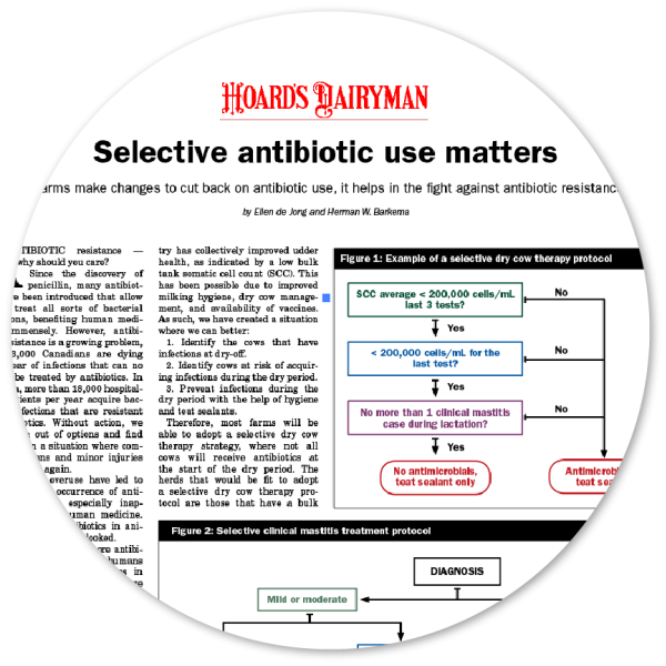 Selective antibiotic use matters Hoard's Dairyman