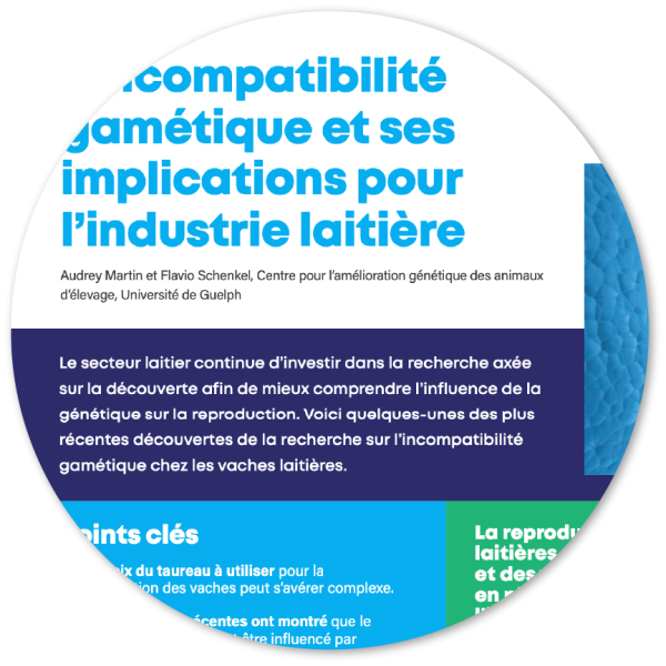 L’incompatibilité gamétique et ses implications pour l’industrie laitière