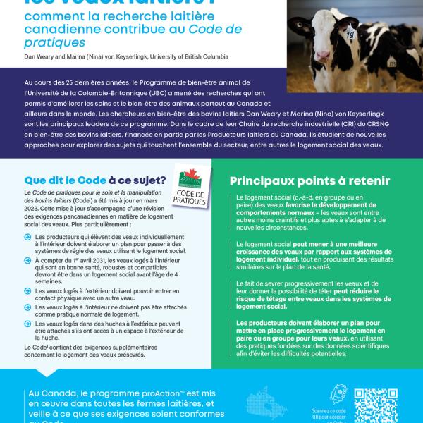 Calf social Fact Sheet FR
