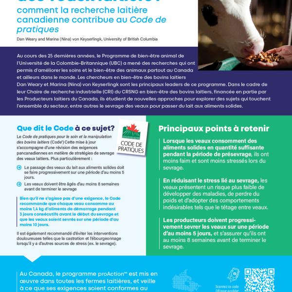 Calf weaning fact sheet FR