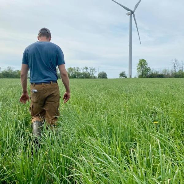 A Canadian farmer in a field with wind turbine