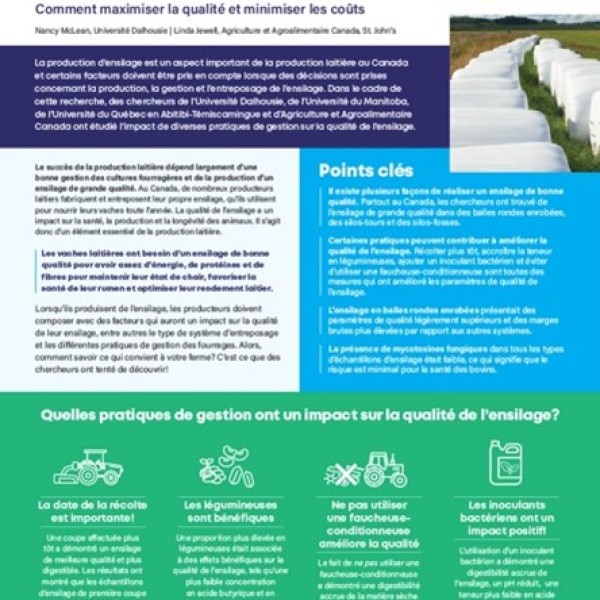 Pratiques exemplaires pour la production d’ensilage : comment maximiser la qualité et minimiser les coûts