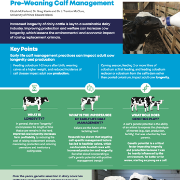Increasing Cow Longevity and Production by Improving Pre-Weaning Calf Management