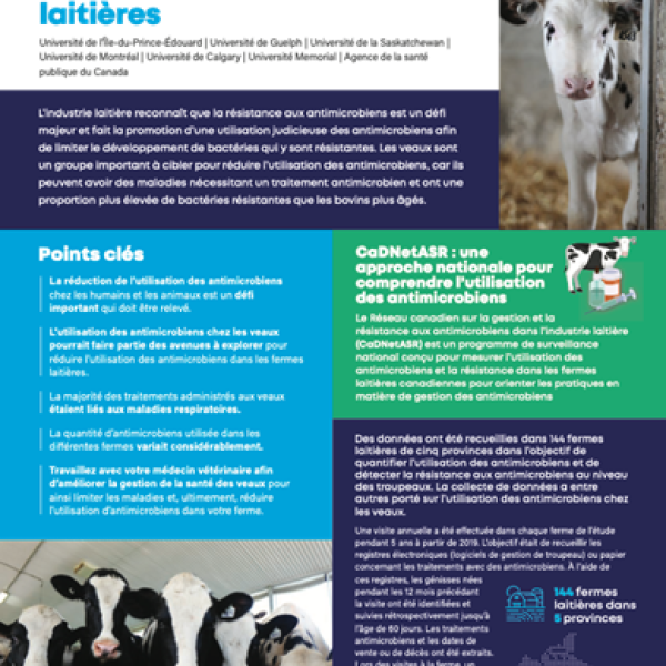Utilisation des antimicrobiens chez les veaux dans les fermes laitières