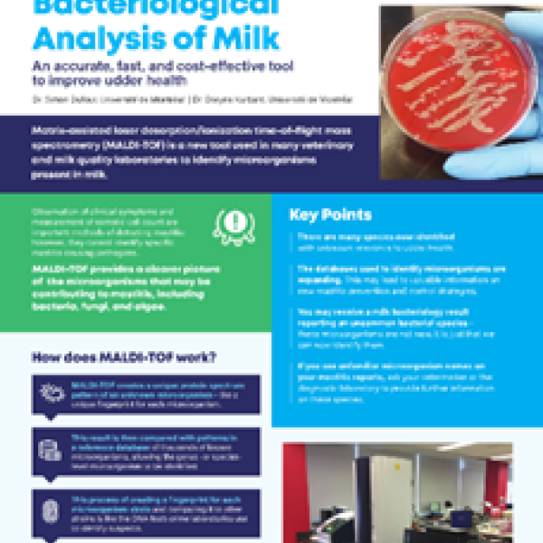 MALDI-TOF: A New Tool for Bacteriological Analysis of Milk