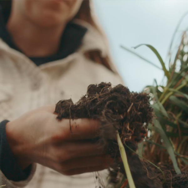 SOIL HEALTH