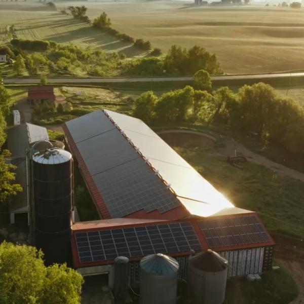 Solar panels on a dairy farm