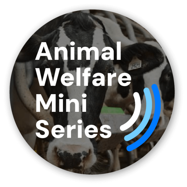 Animal Welfare Mini Series